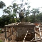 Brick building under construction in forest.